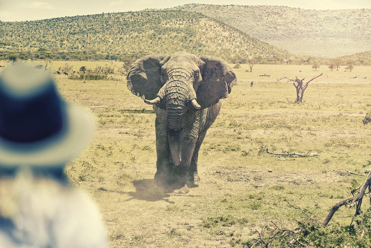 Olarro Plains Vila Maasai Mara Exterior foto